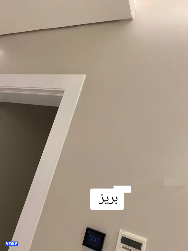 اصباغ مطفي  لمعه صبغ ايطالي ورق جدران3