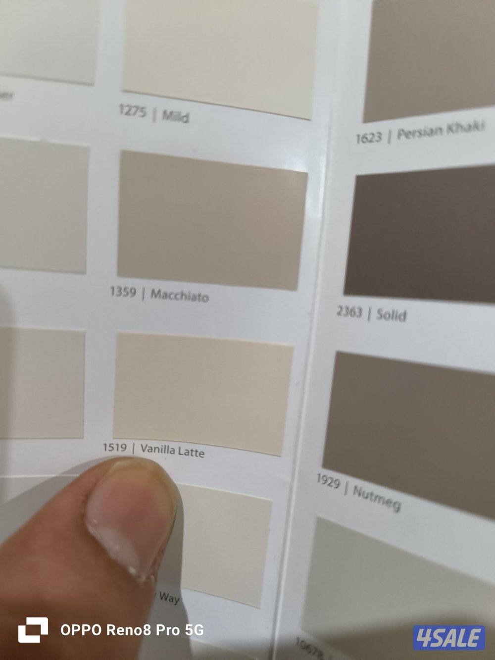 اصباغ مطفي  لمعه صبغ ايطالي ورق جدران12