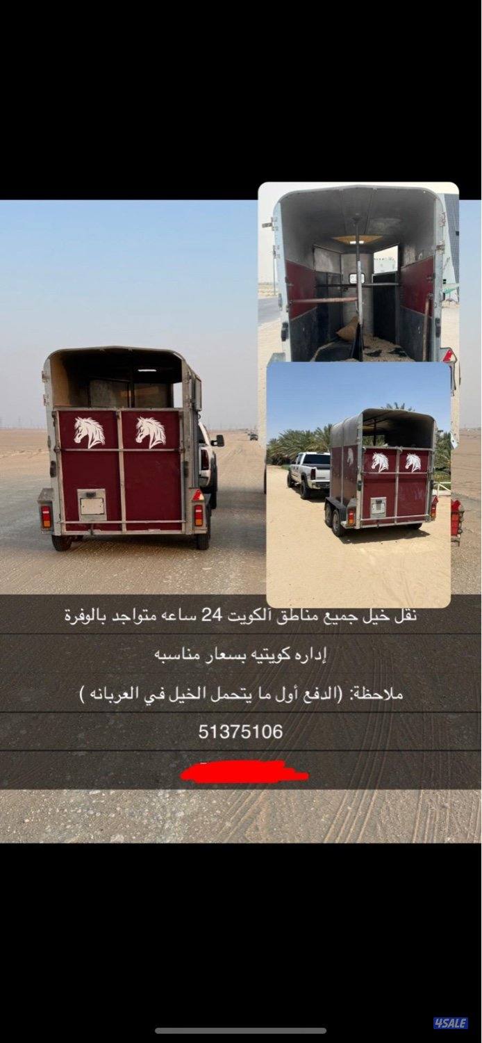 نقل خيل متواجد بالوفرة0