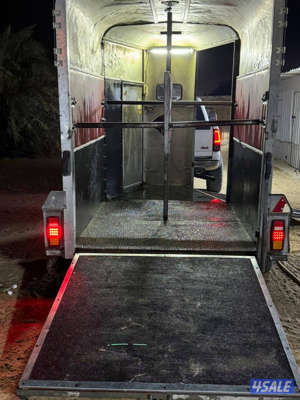 نقل خيل متواجد بالوفرة1