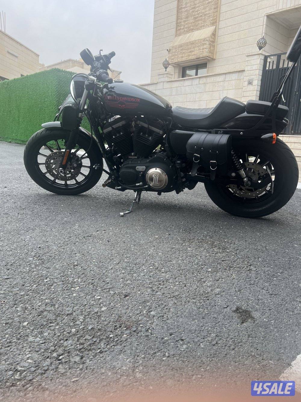 للبيع هارلي1