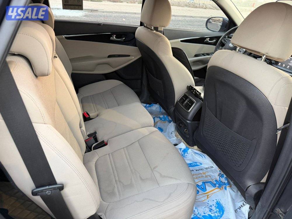 سورينتو عداد 87 صبغ وكالة6