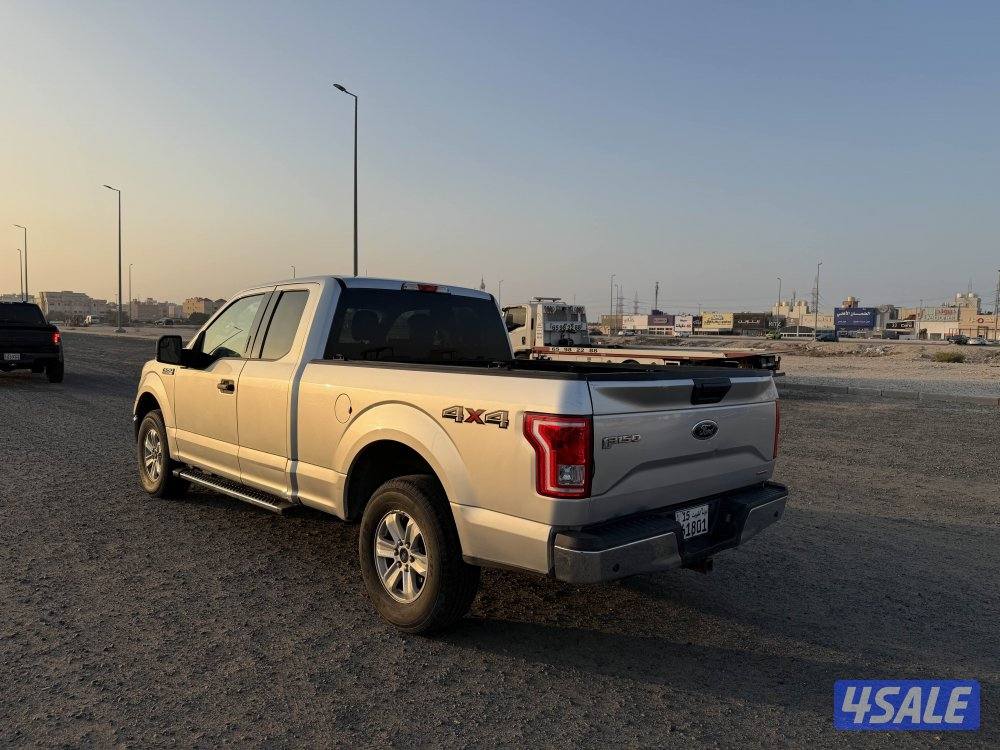 وانيت فورد 2015 صبغ وكالة0