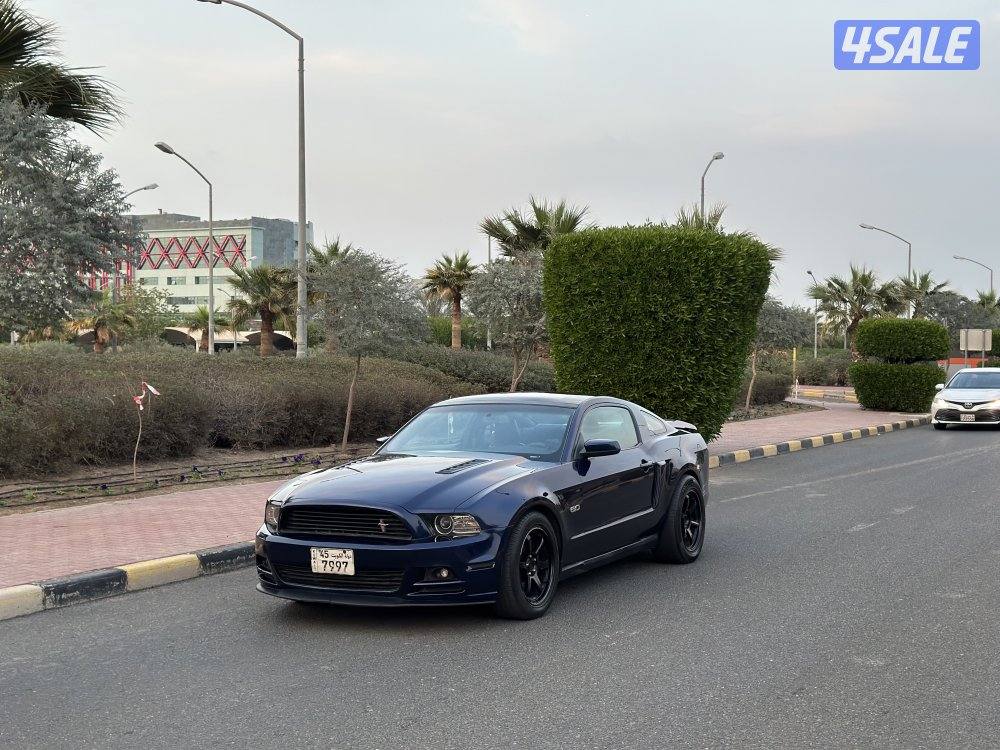 موستنق 2010 بانورما1