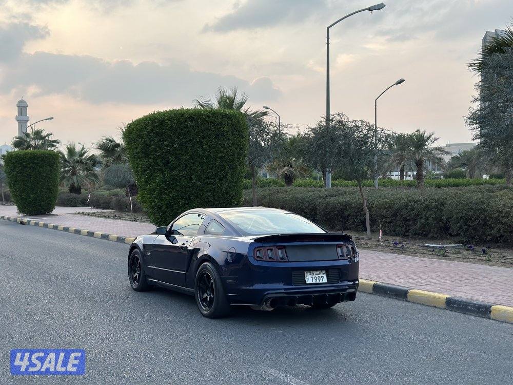 موستنق 2010 بانورما2