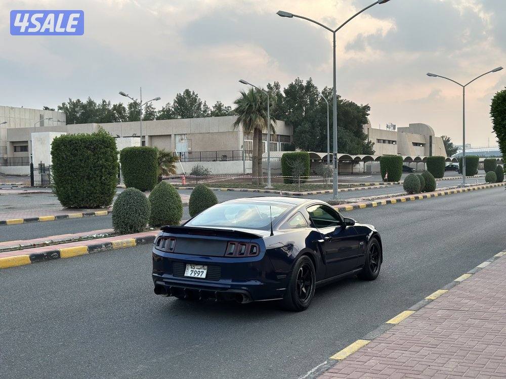 موستنق 2010 بانورما3