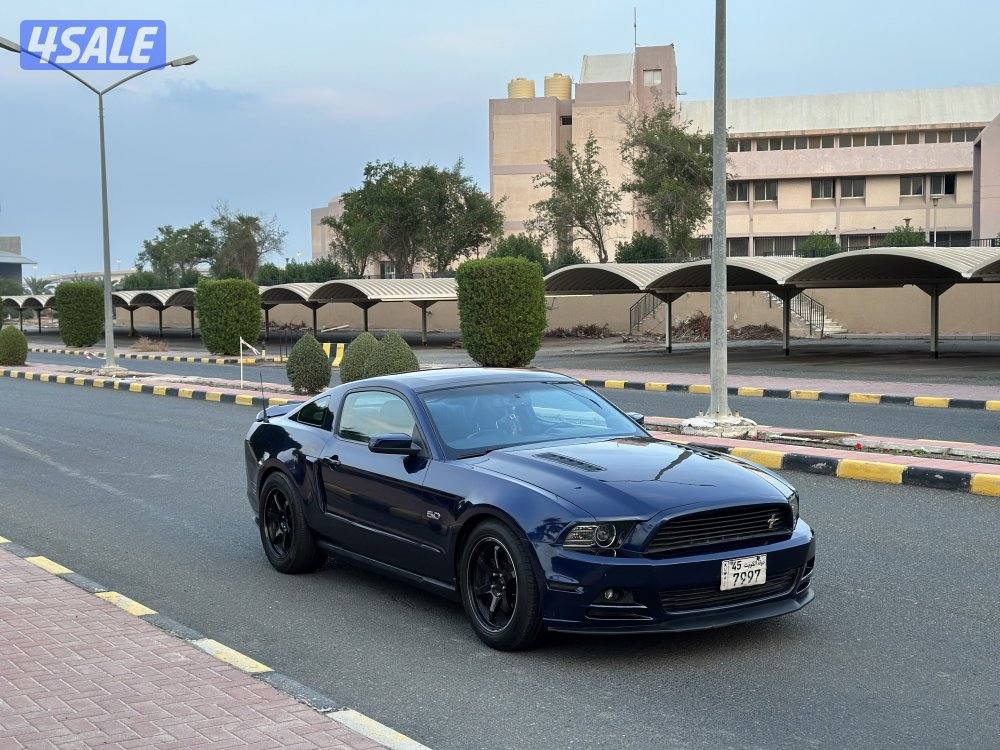 موستنق 2010 بانورما4