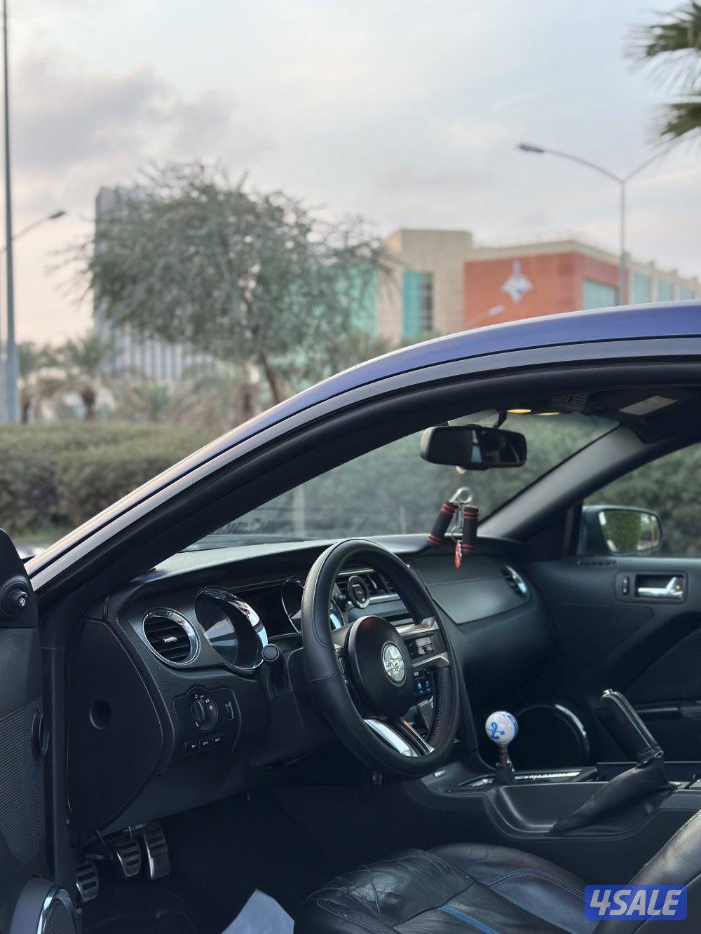 موستنق 2010 بانورما6