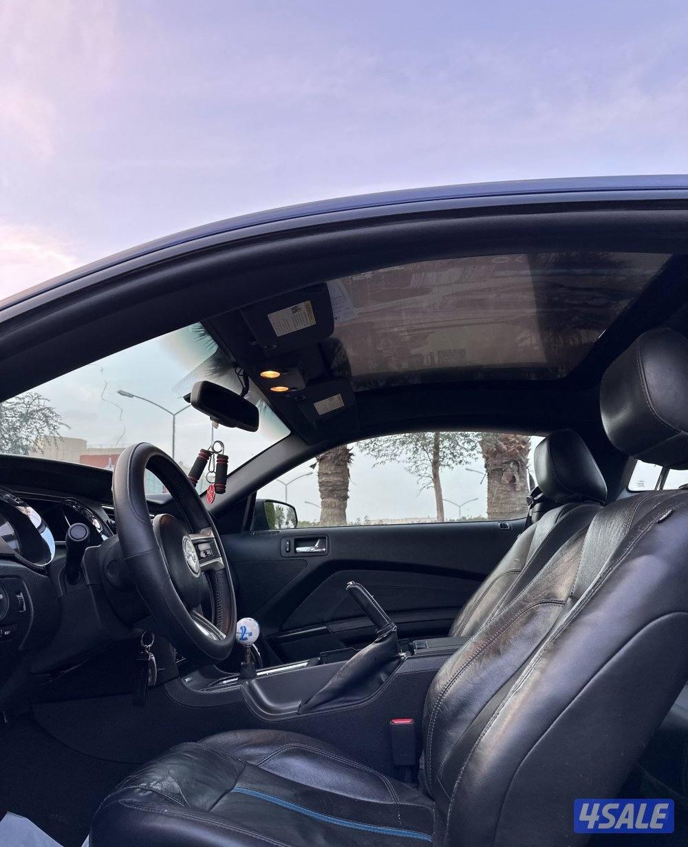 موستنق 2010 بانورما7