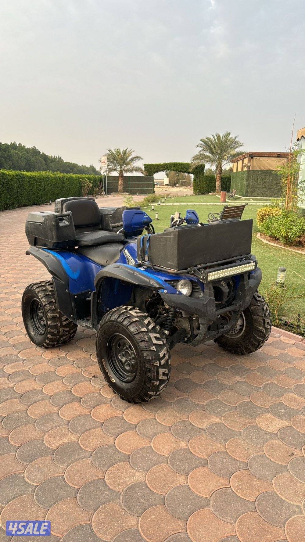 للبيع قرزلي1