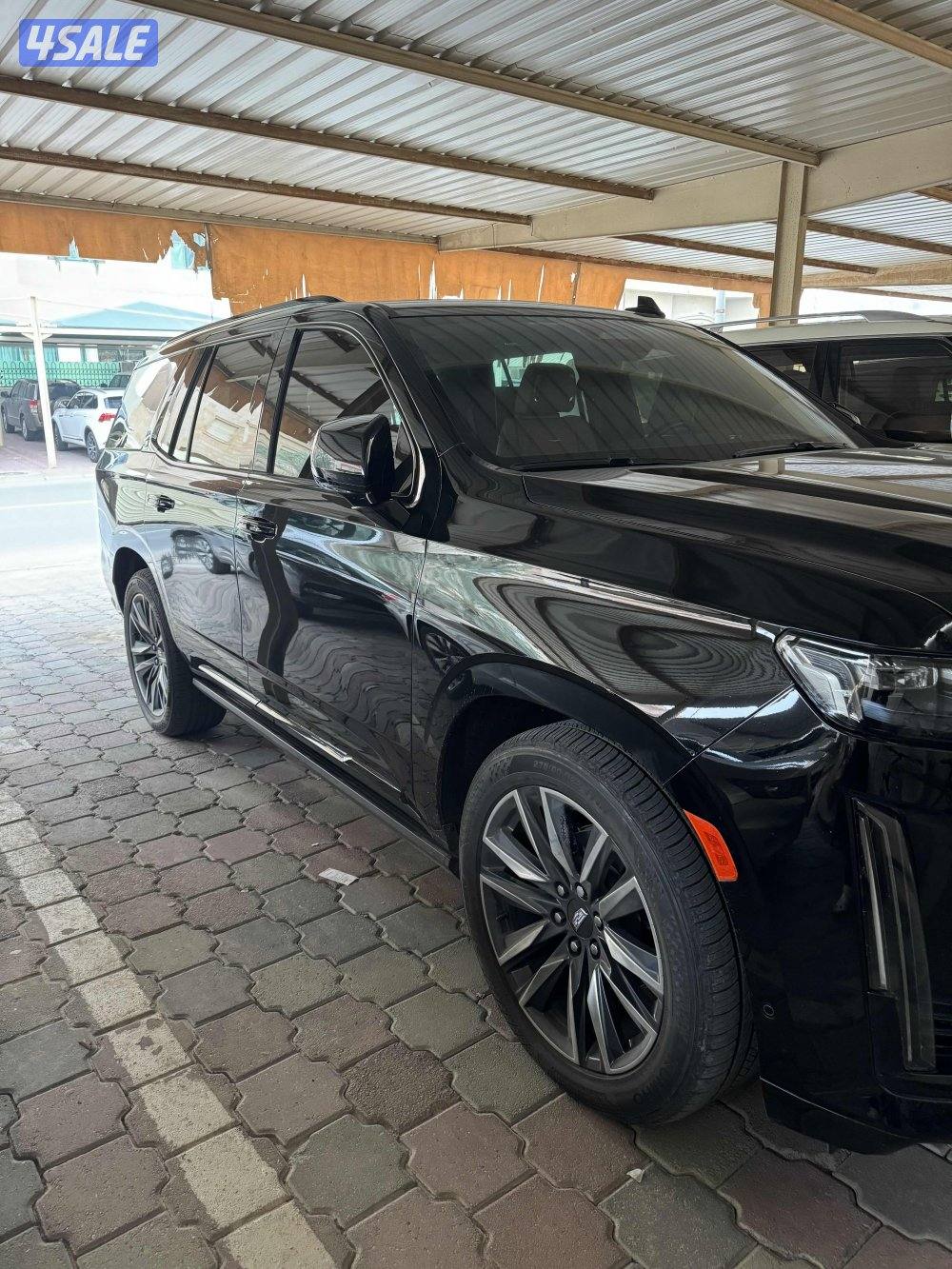 اسكاليد سبورت صبغ الوكاله4