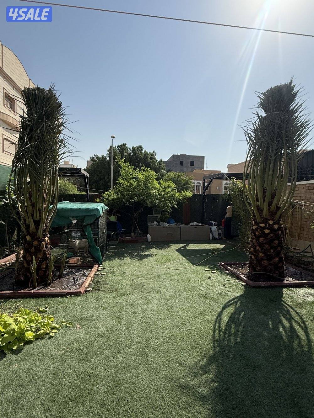 بيع وشراء جميع النخيل شيل وزراعه تكريب وتنظيف عقد سنوي للنخيل9