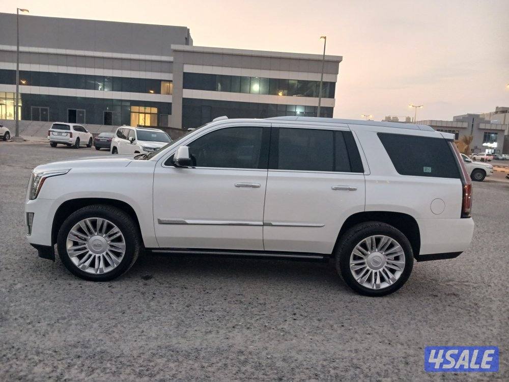 اسكاليد بلاتنيوم موديل 2016 أعلي درجة3