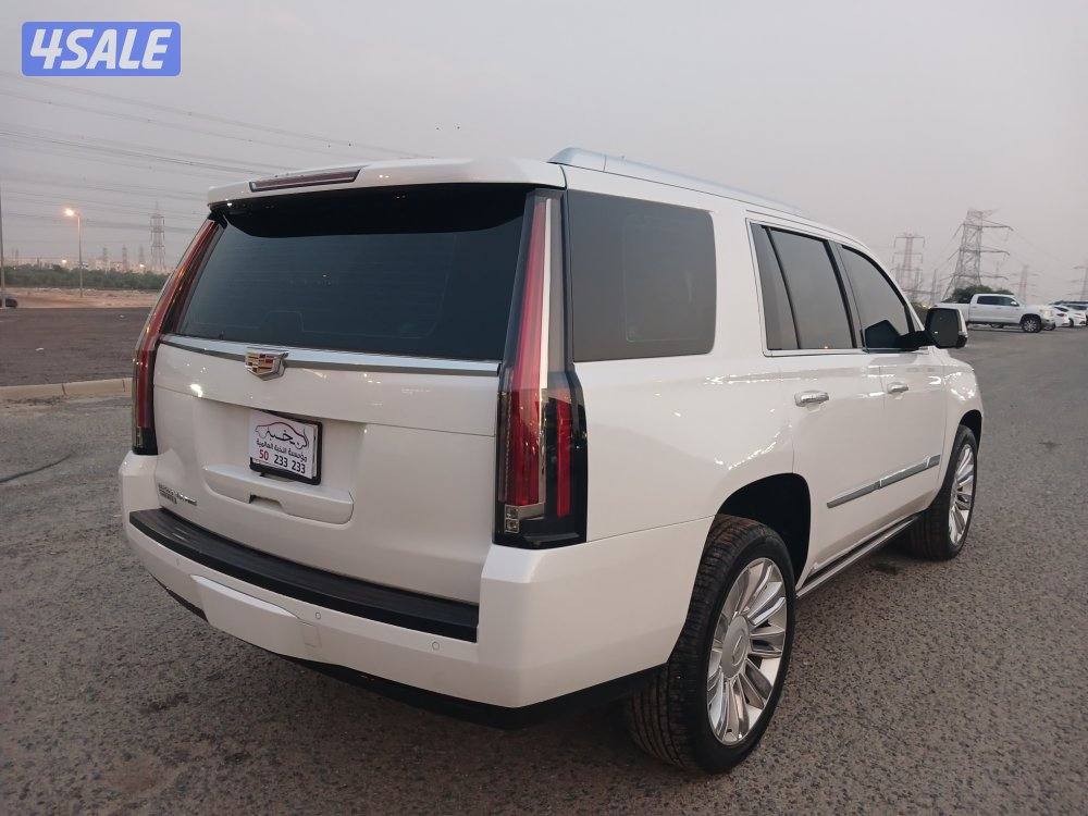 اسكاليد بلاتنيوم موديل 2016 أعلي درجة4