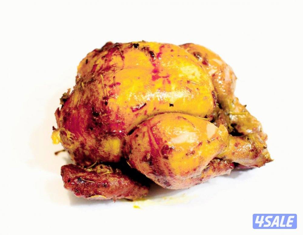 مدير مطاعم وشيف10