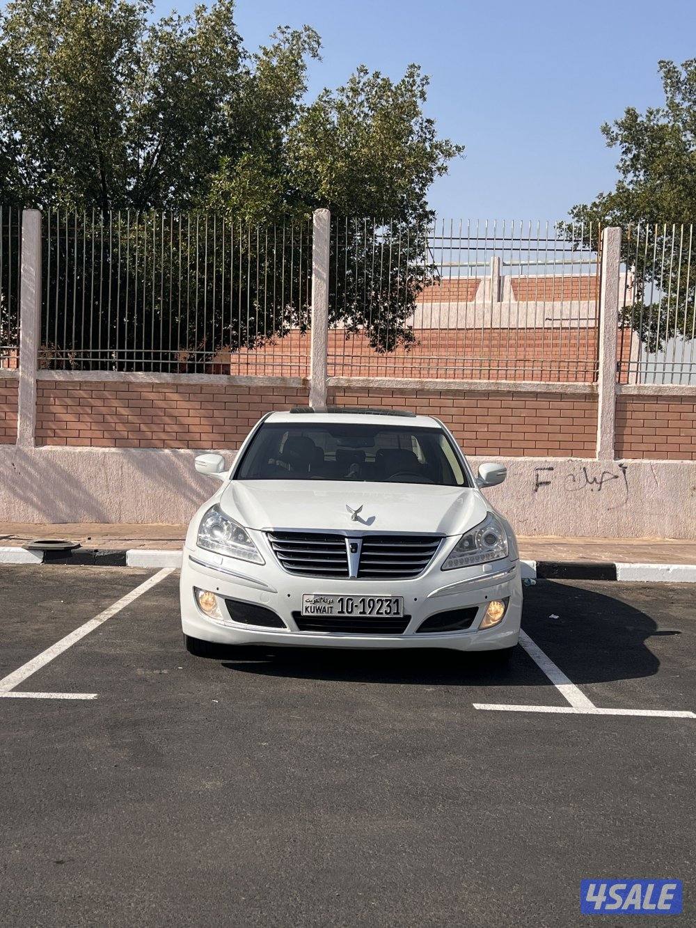 سينتيال بحالة الوكالة وصبغ الوكالة0