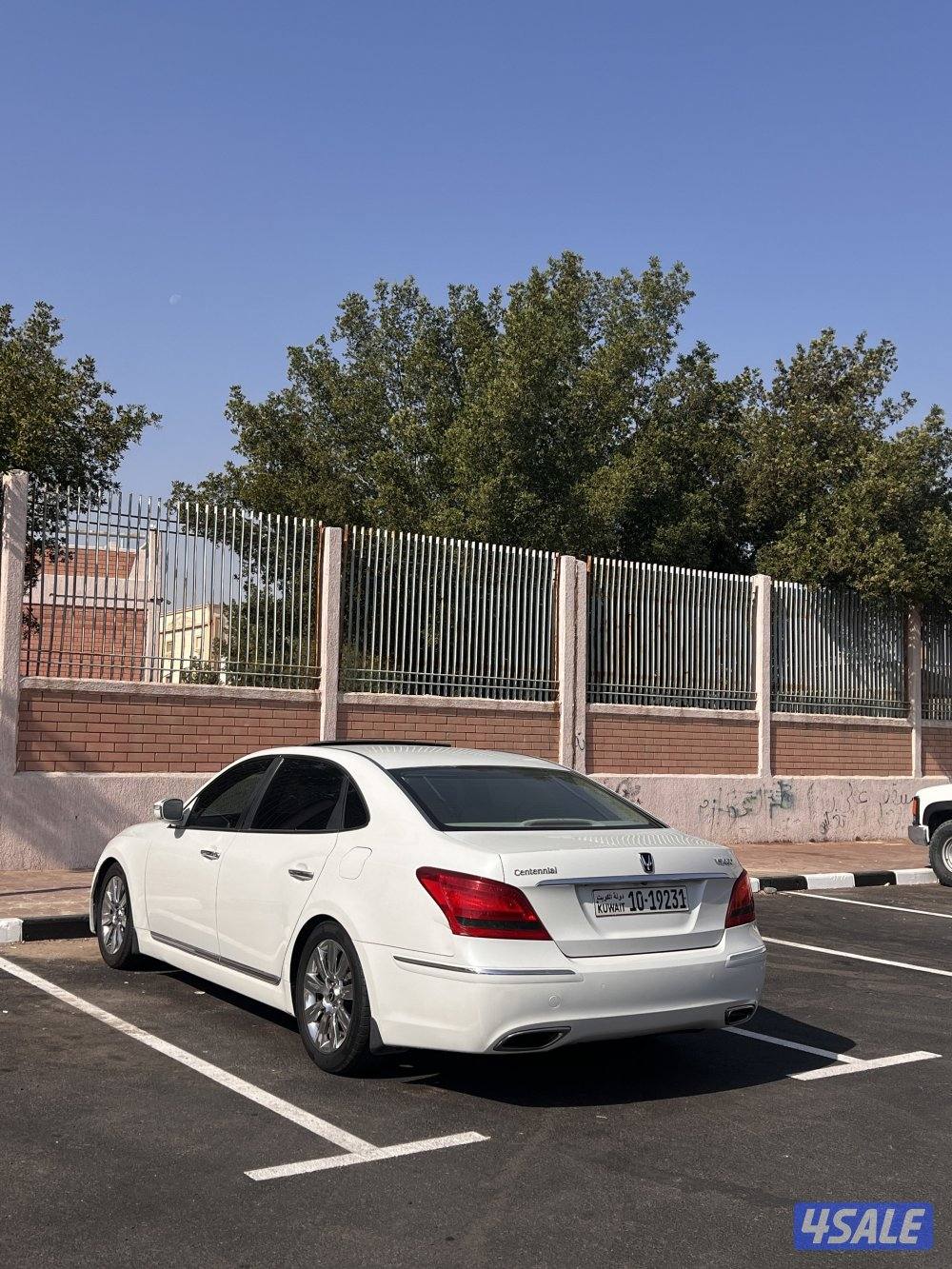 سينتيال بحالة الوكالة وصبغ الوكالة5