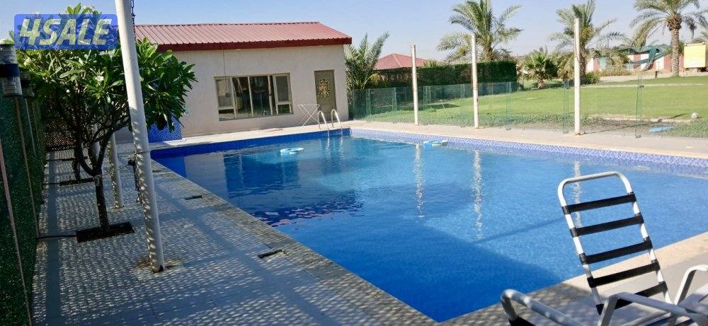 للإيجار اليومي مزارع في الوفرة0