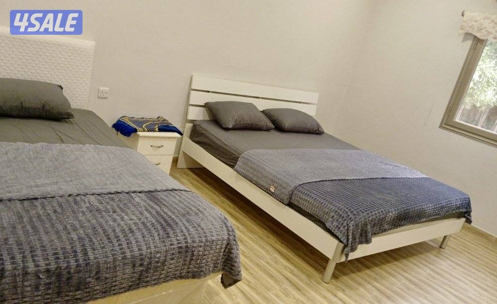 للإيجار اليومي مزارع في الوفرة1