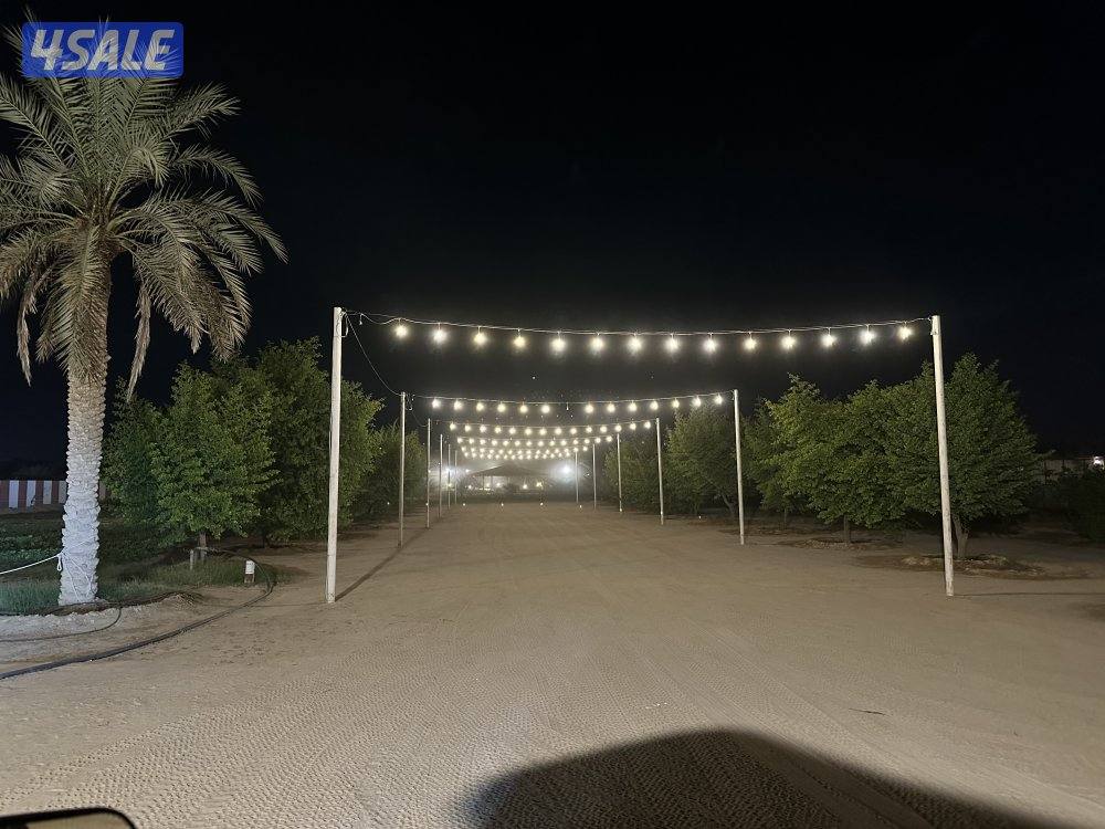 للإيجار اليومي مزارع في الوفرة5