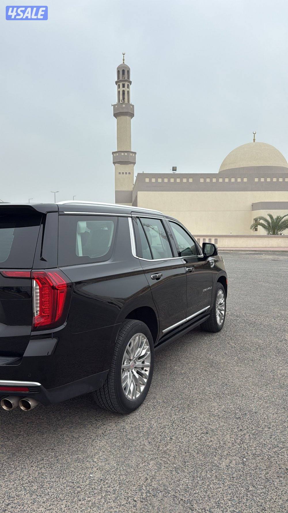 للبيع دينالي 20231