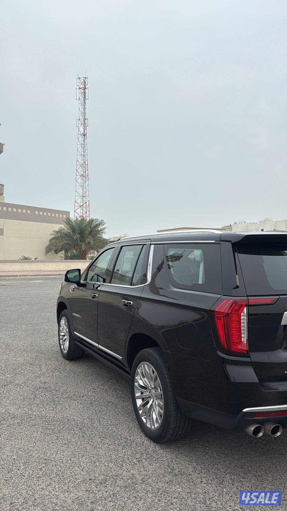 للبيع دينالي 20234