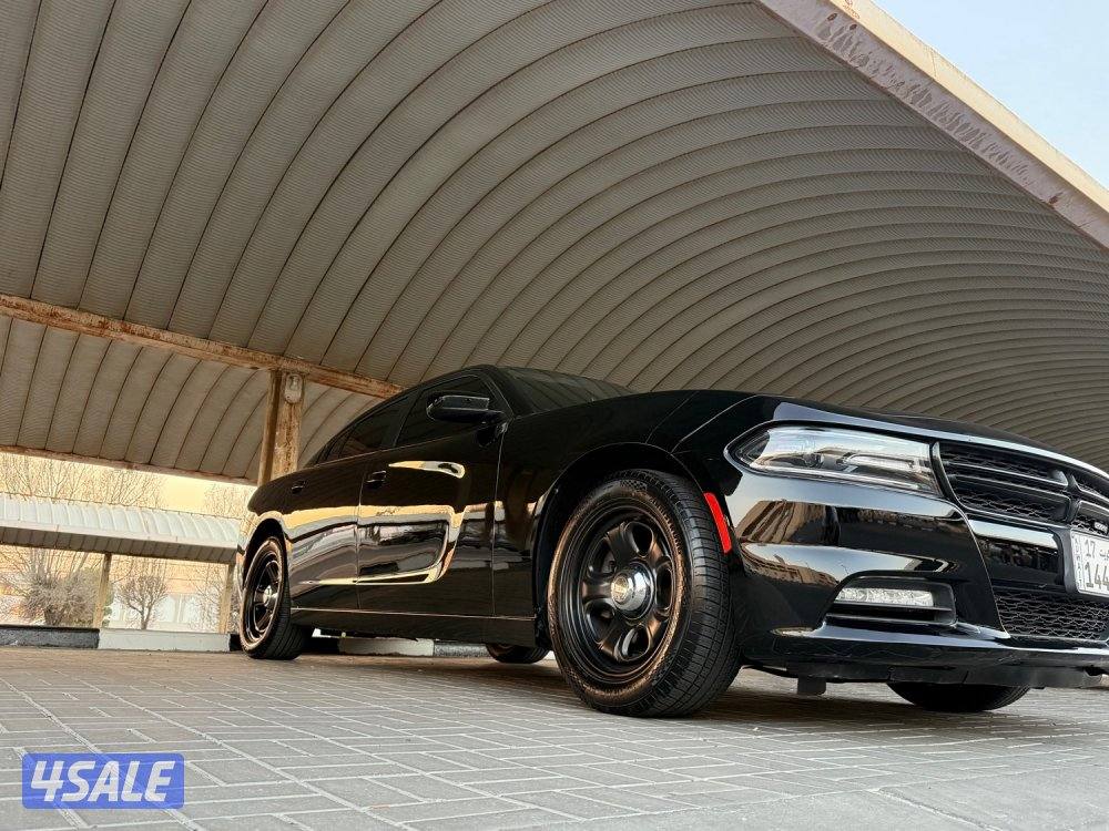 شارجر ٢٠١٩1