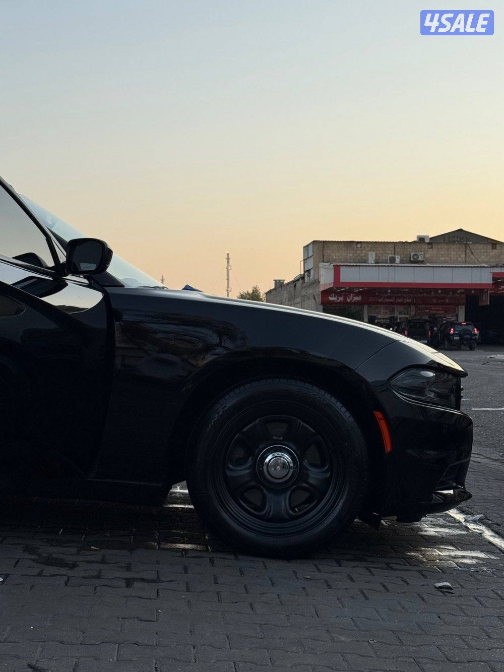 شارجر ٢٠١٩3