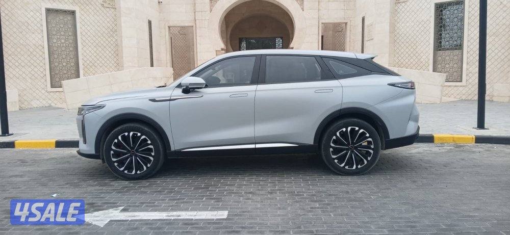 م 2024 عداد 25 RX أعلي المواصفات علي حماية بالكامل ش الفحص3