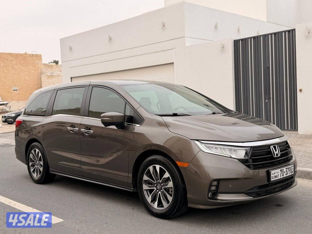 للبيع اوديسي صبغ وكالة عداد 44 الف تحت الكفالة1