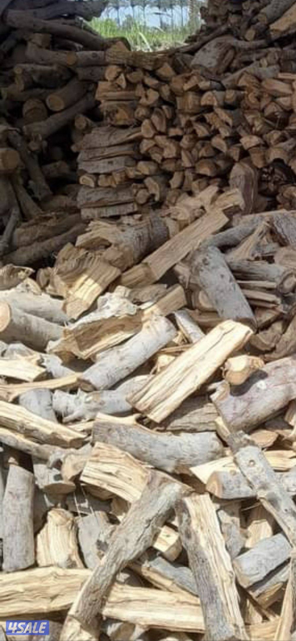 حطب شب زيتون أفريقي1