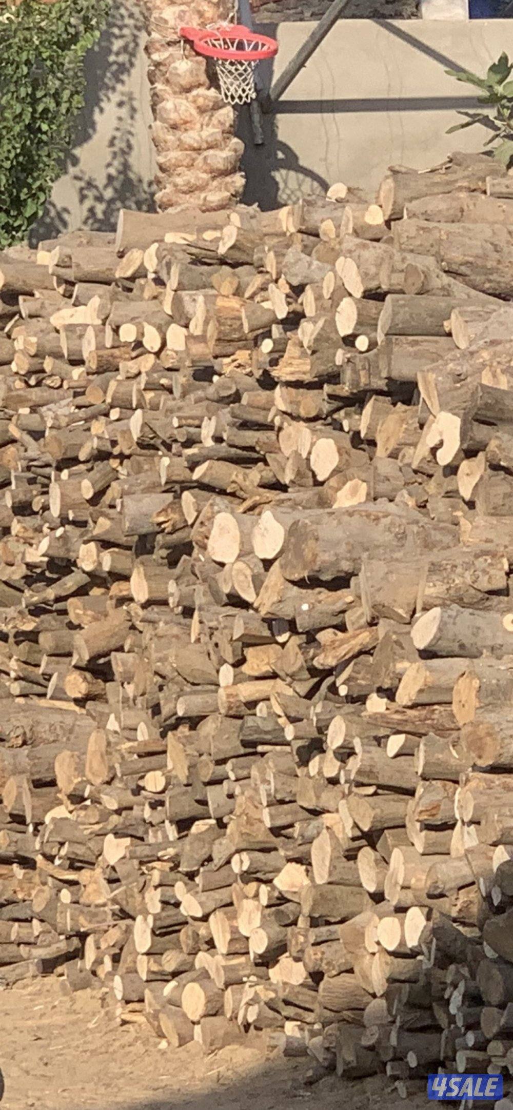 حطب شب زيتون أفريقي3