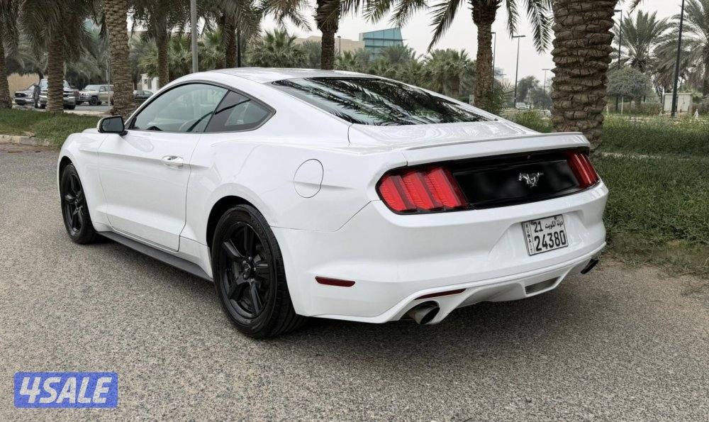 موستنق 2015 ماشيه 163 قير اوتماتيك 4سلندر تيربو2