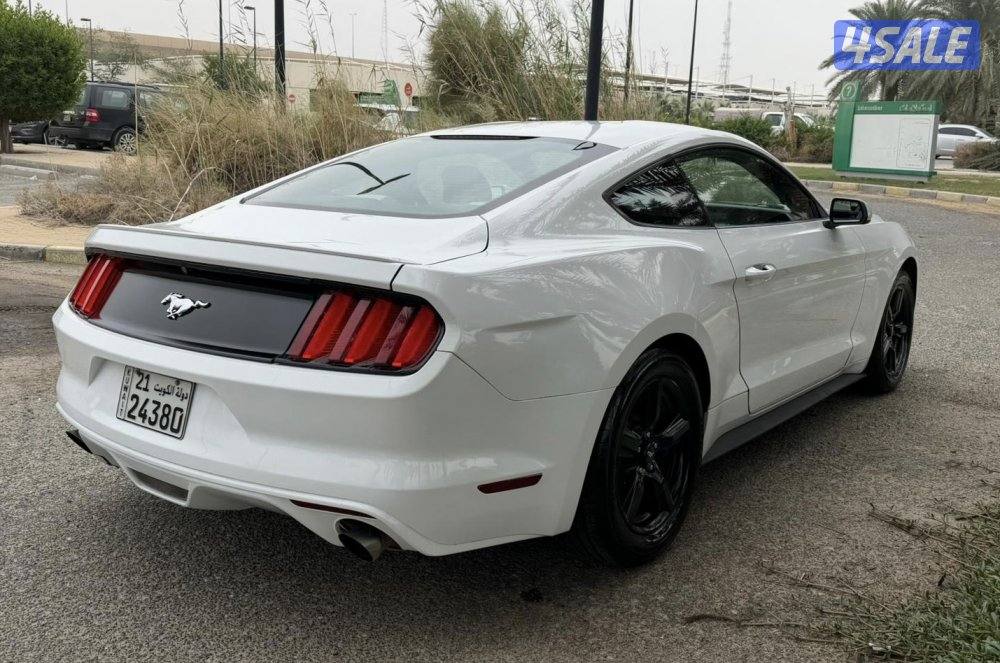 موستنق 2015 ماشيه 163 قير اوتماتيك 4سلندر تيربو3