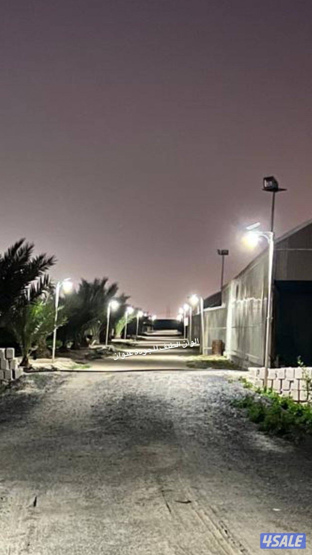 7.750 دينار نيون علي طاقة الشمسية 80CM يعمل ‏طول الليل1