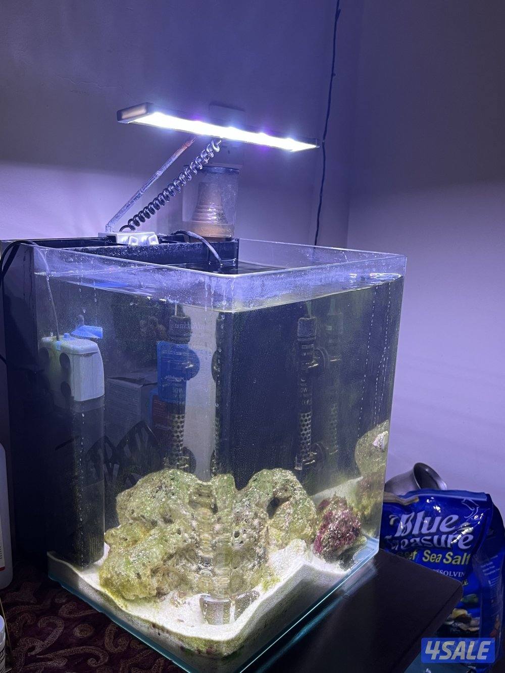 Saltwater marine aquarium0