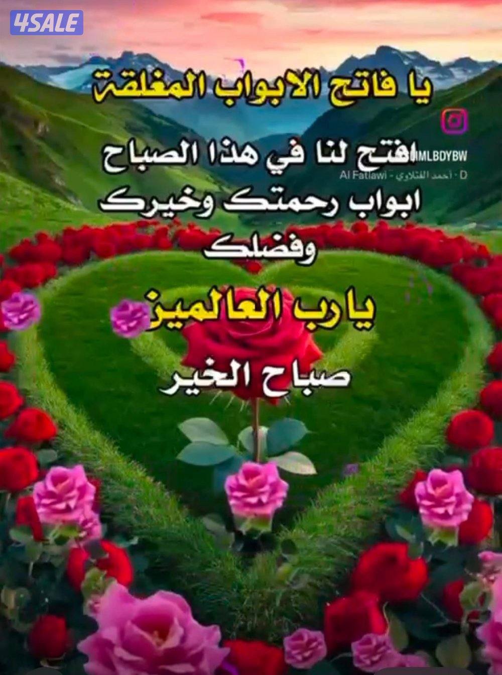 للايجار دور ارضي بسعد ق٥ ٤ غرف وصاله ومطبخ ودونيه ٣ حمام0