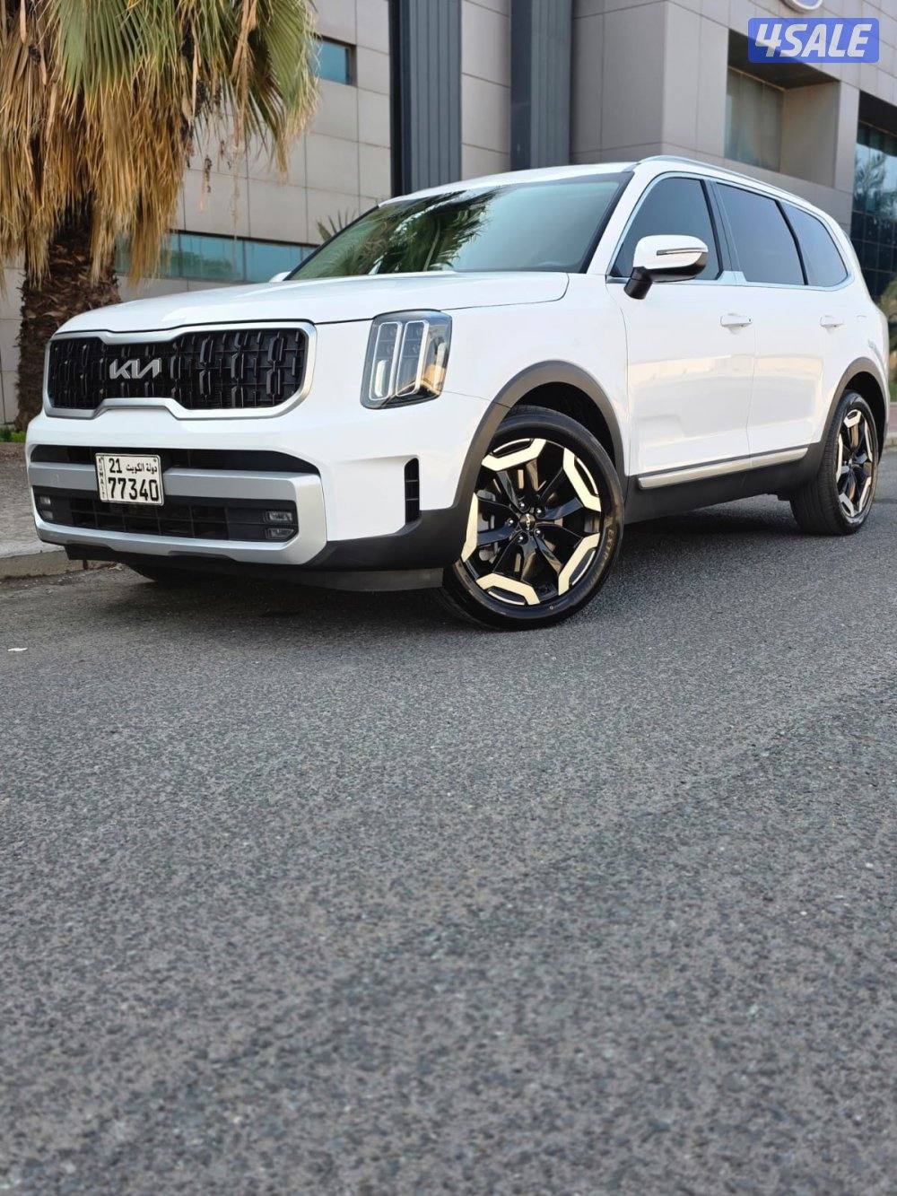 كيا تيلورايد 2023 صبغ الوكالة0