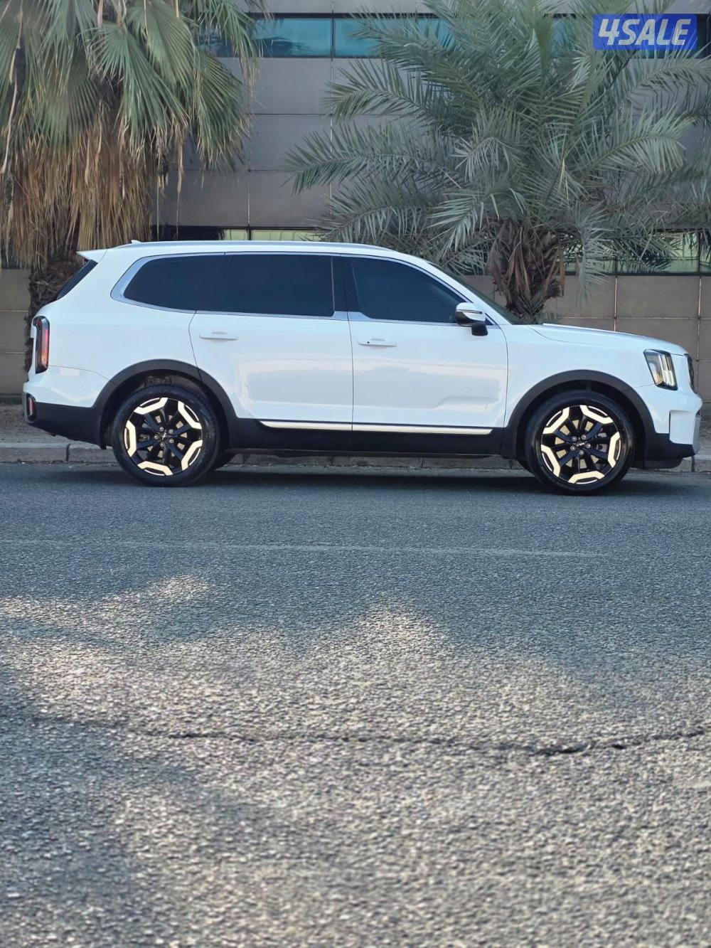 كيا تيلورايد 2023 صبغ الوكالة9