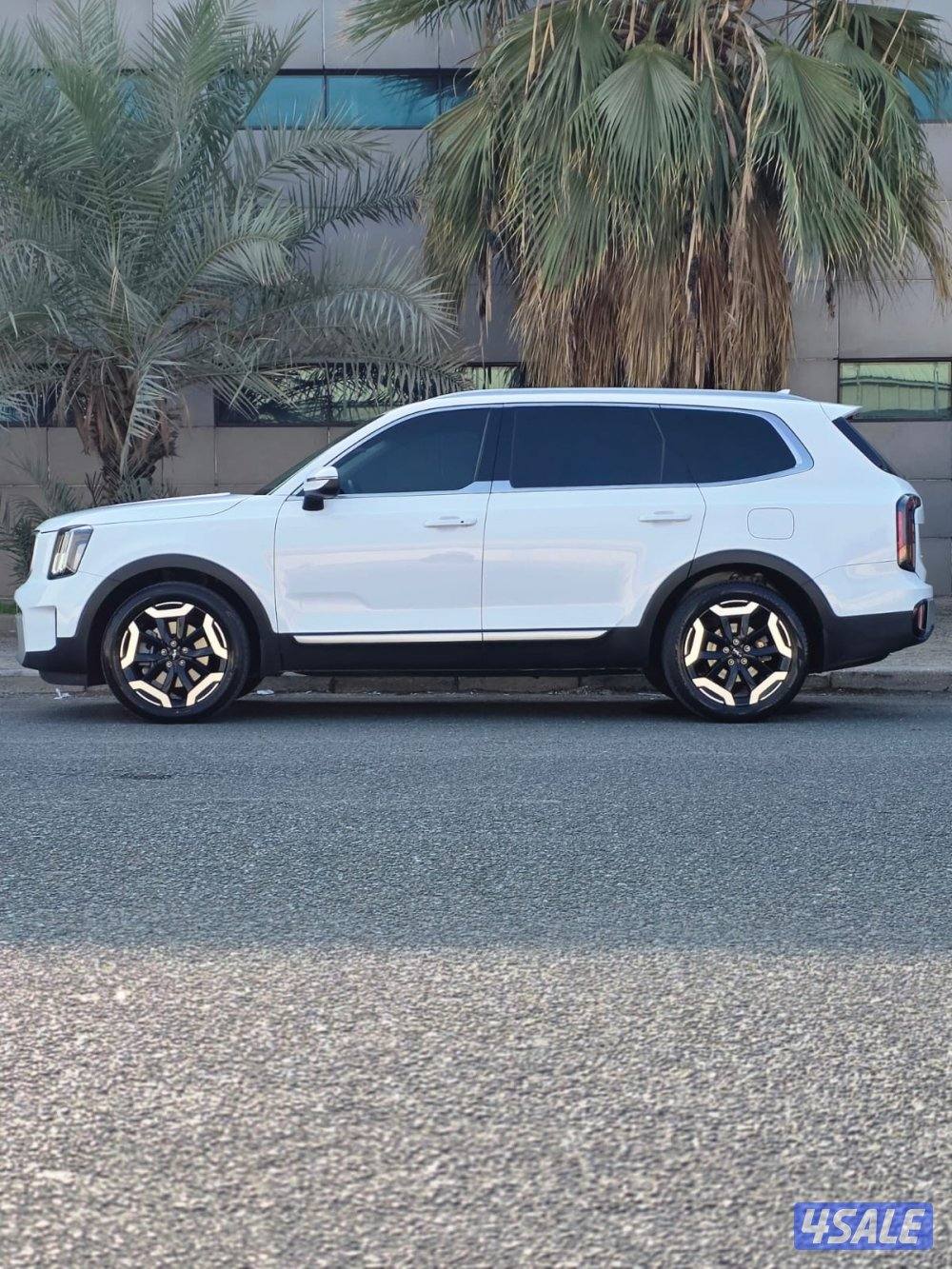 كيا تيلورايد 2023 صبغ الوكالة11