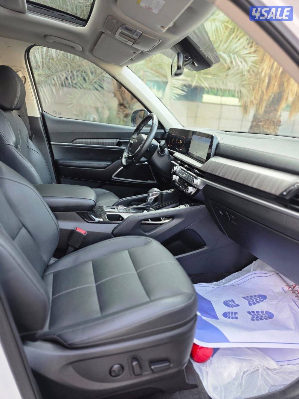 كيا تيلورايد 2023 صبغ الوكالة14