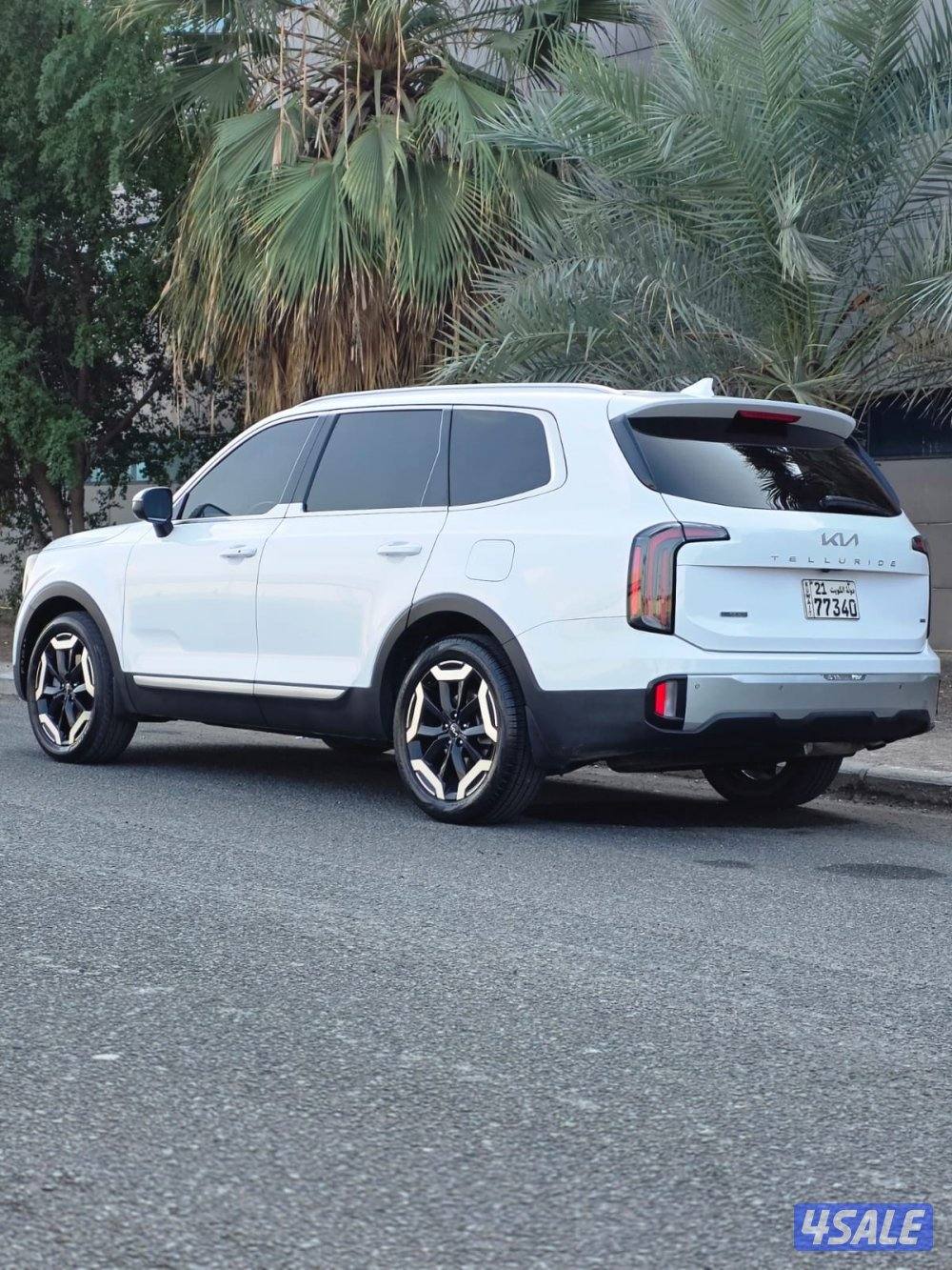 كيا تيلورايد 2023 صبغ الوكالة13