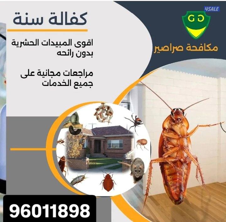 مكافحه جميع انواع الحشرات والقوارض بالكويت مبيدات امنه وفعاله 100%1