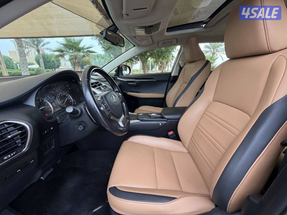 2016 صبغ الوكاله NX2004