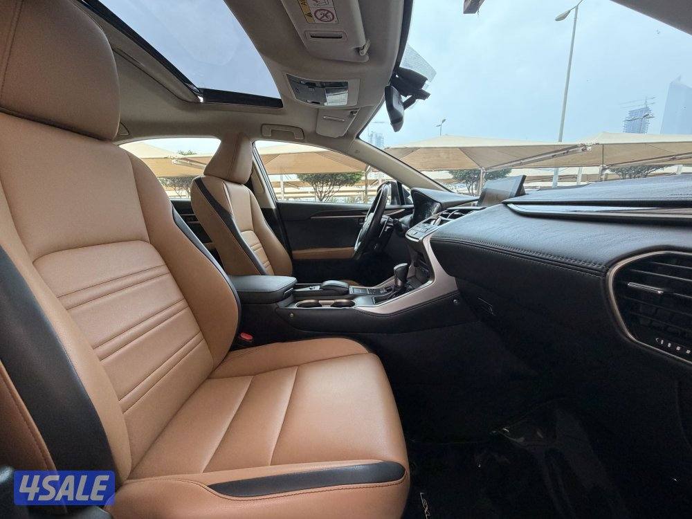 2016 صبغ الوكاله NX2005