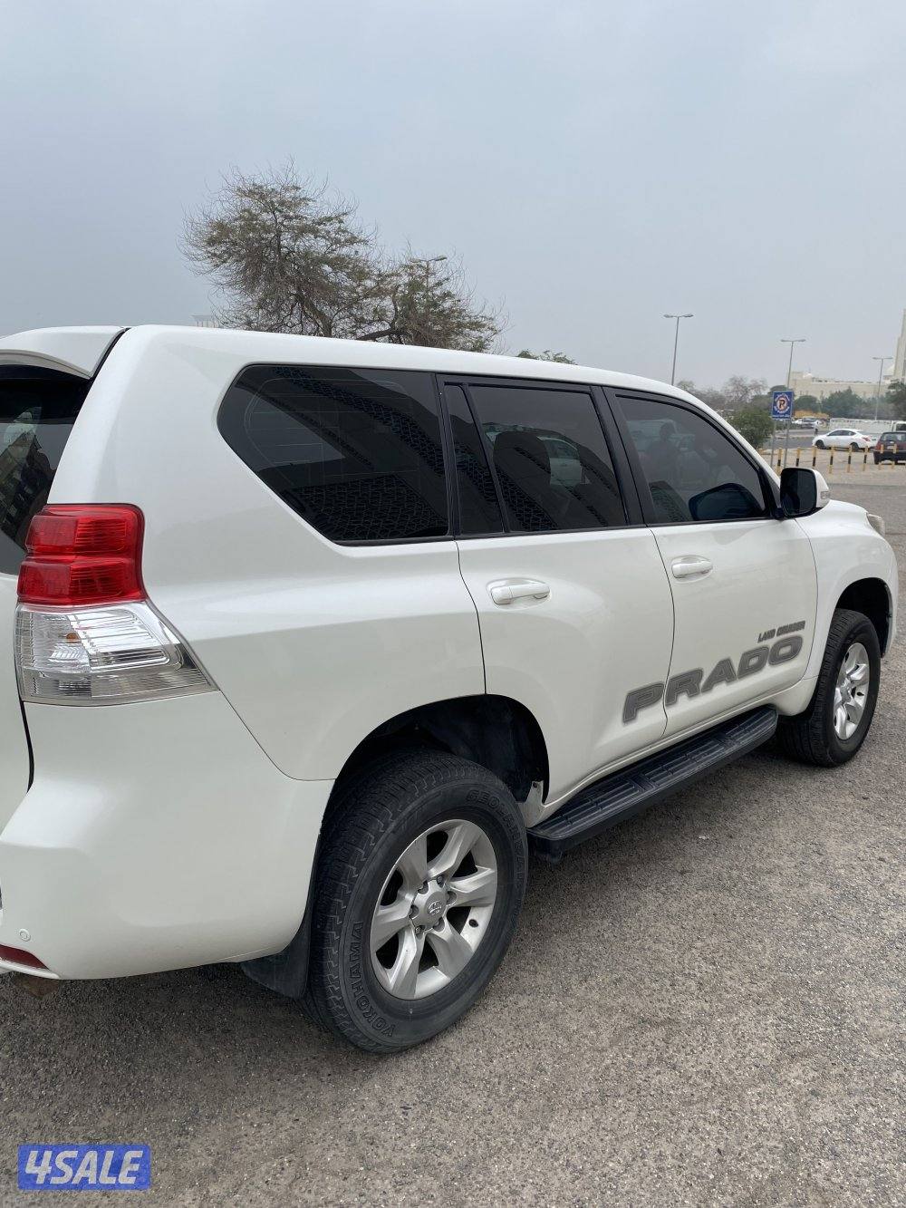 شرط الفحص قير مكينه شاصي البدي ٤ قطع صبغ1