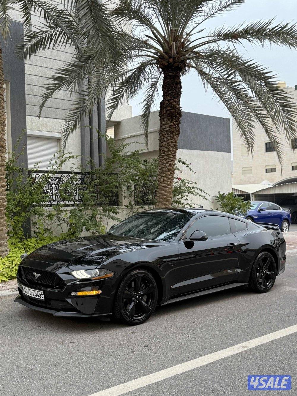 FORD MUSTANG GT 5.0 8V0