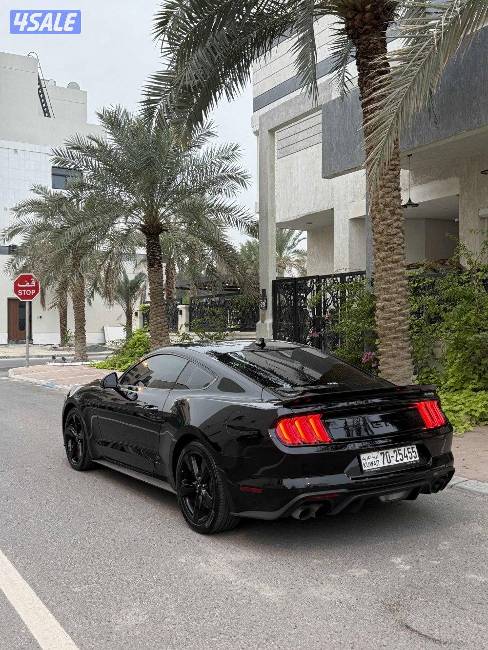 FORD MUSTANG GT 5.0 8V1