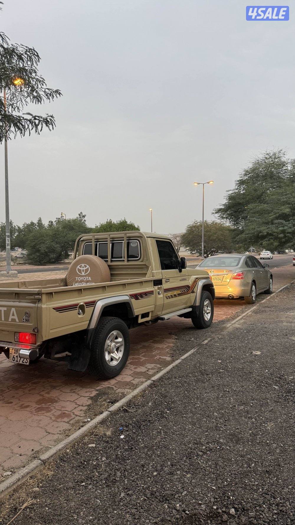 شاص 2021الساير2