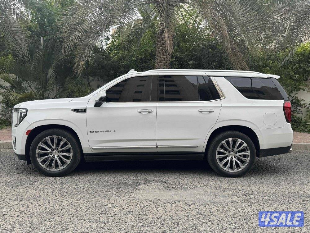 يوكن دنالي3